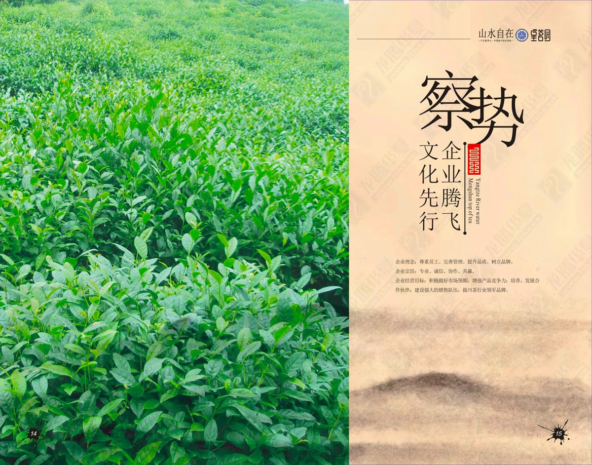 蒙顶山皇茗园茶业宣传画册设计