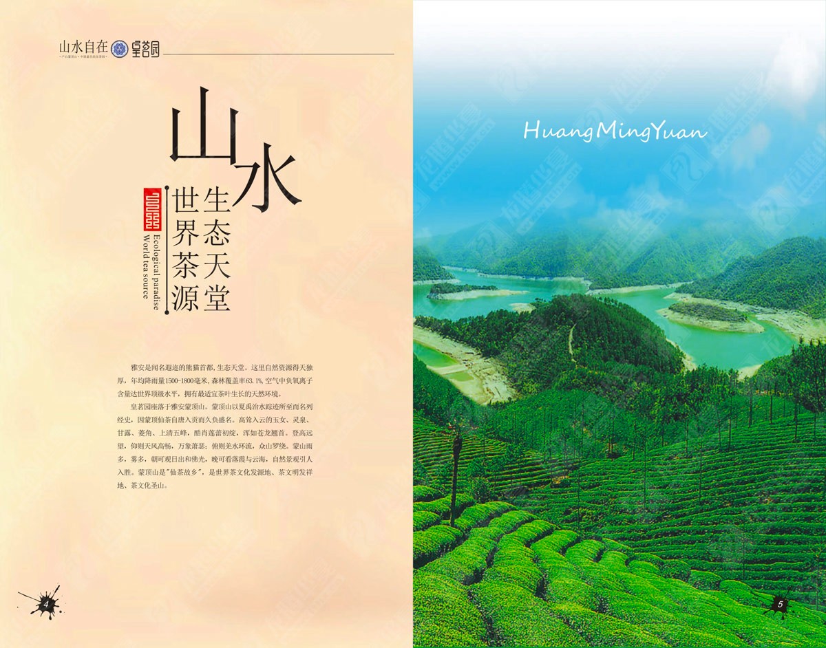 蒙顶山皇茗园茶业宣传画册设计