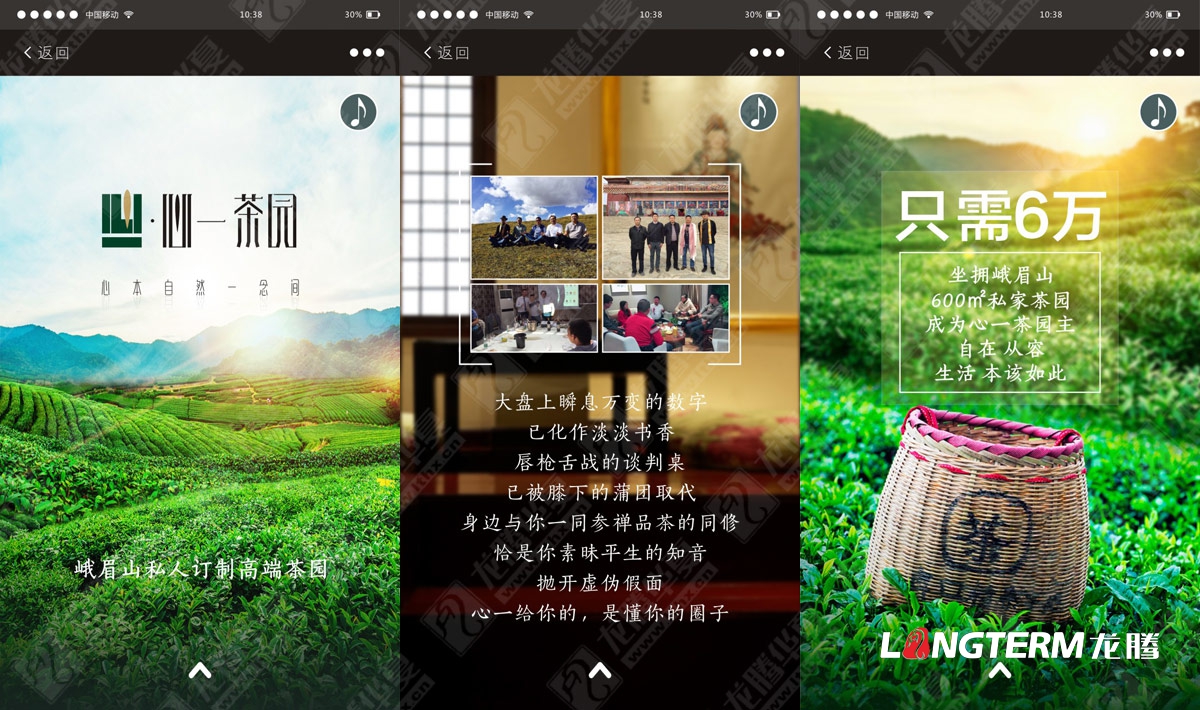 成都茶叶品牌包装策划形象设计公司|四川茶叶品牌全案视觉设计营销策划推广公司