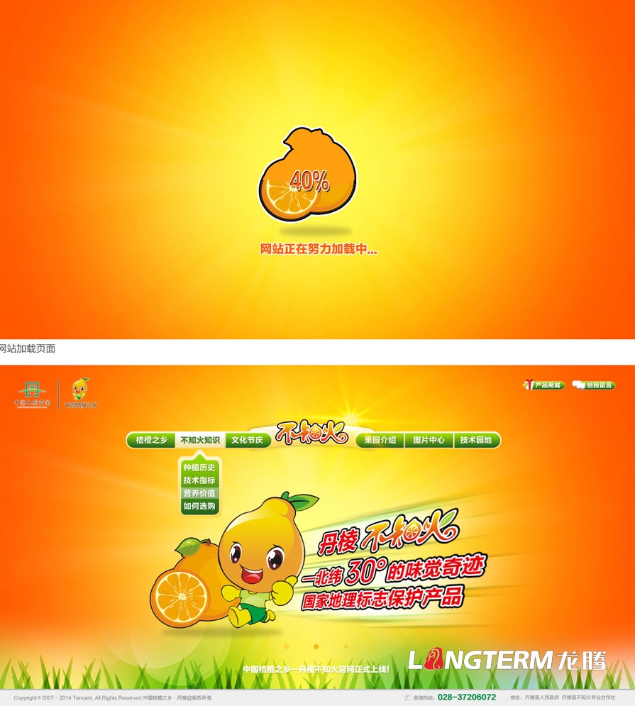 桔橙产品推广品牌营销策划形象设计|柑子橘子桔橙橙子柚子广柑脐橙LOGO商标VI标志品牌建设
