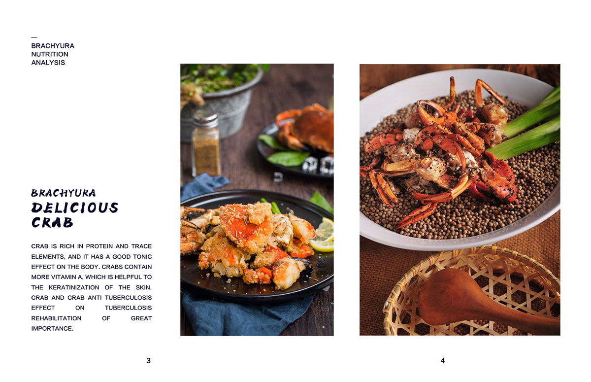 成都美味美食宣传册设计公司|四川食品食材餐厅餐馆品牌形象宣传画册设计公司