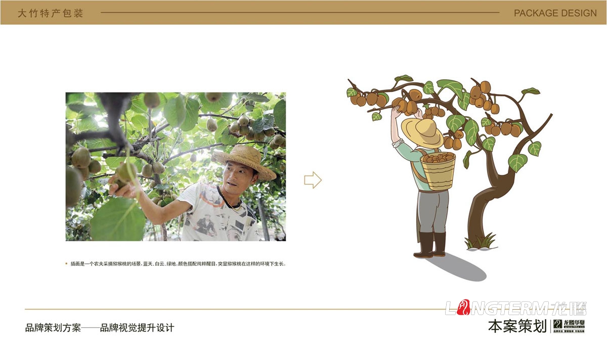 大竹猕猴桃水果卡通包装盒设计_达州市大竹县地方特产水果奇异果包装设计方案