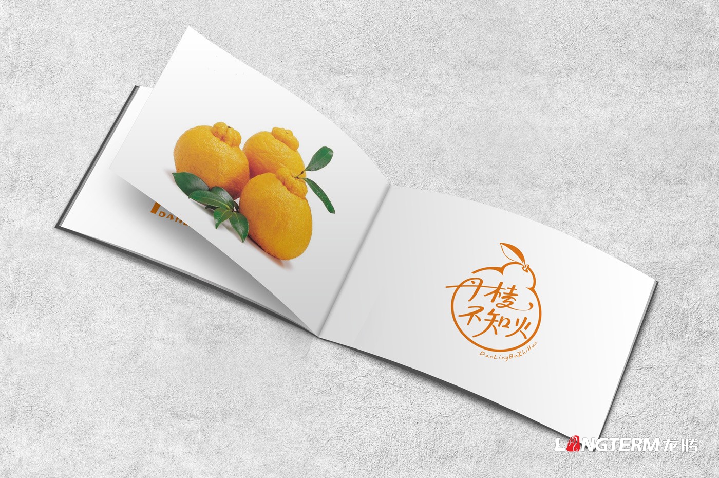 丹棱不知火品牌形象设计|眉山市桔橙水果区域公用品牌标志LOGO升级