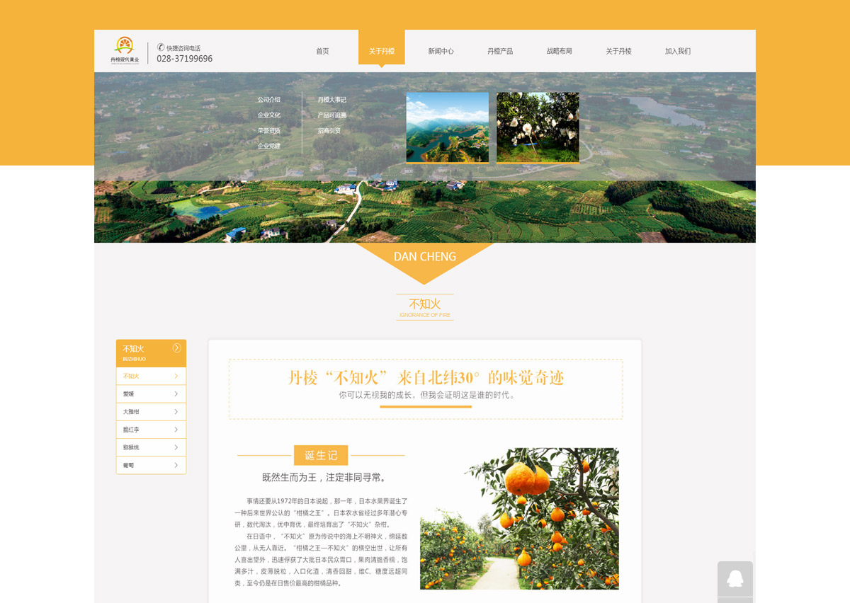 丹橙现代果业公司官网设计及技术实现_果业公司网站建设_果业公司网站设计