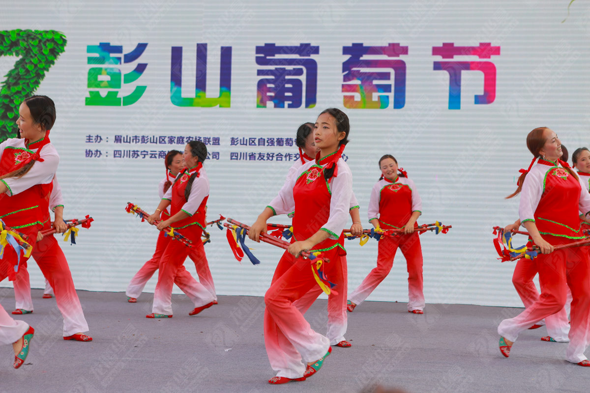 彭山葡萄节营销活动策划