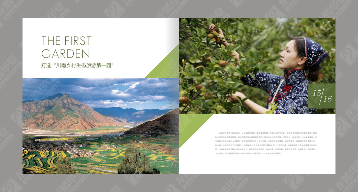 东方乌蒙生态农业企业画册设计