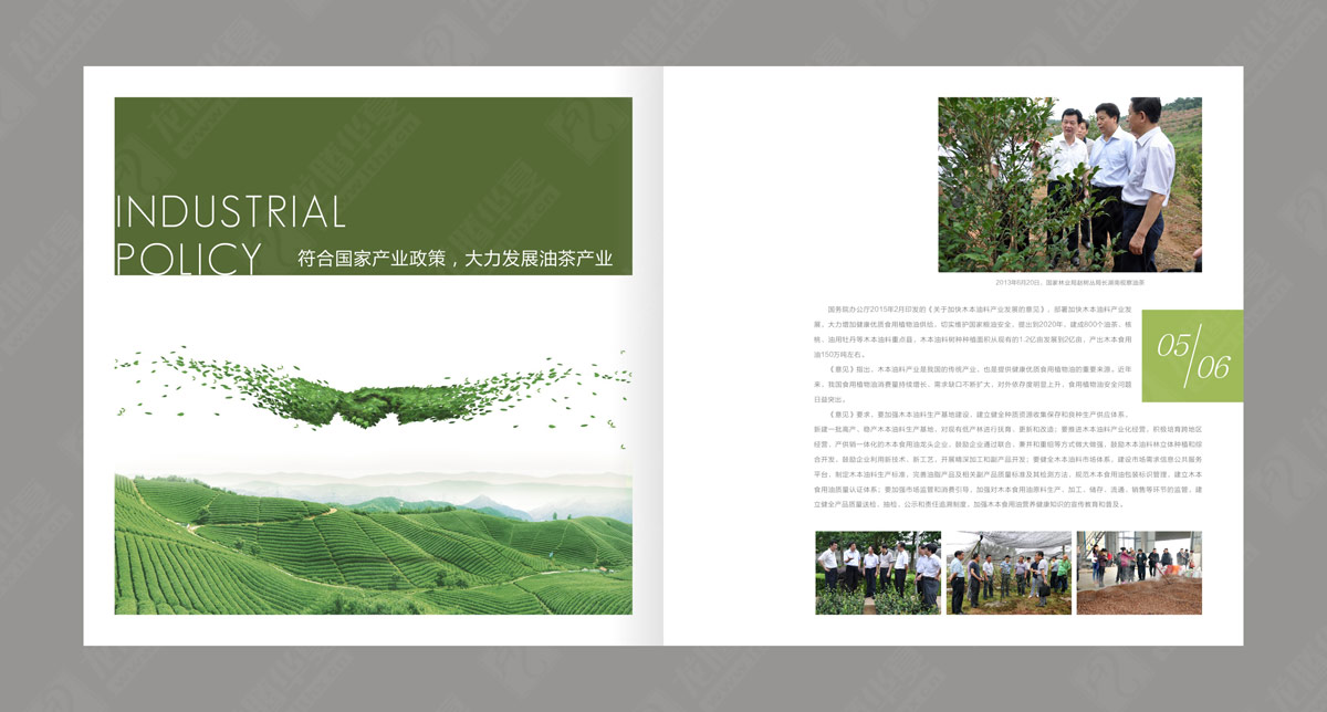 东方乌蒙生态农业企业画册设计