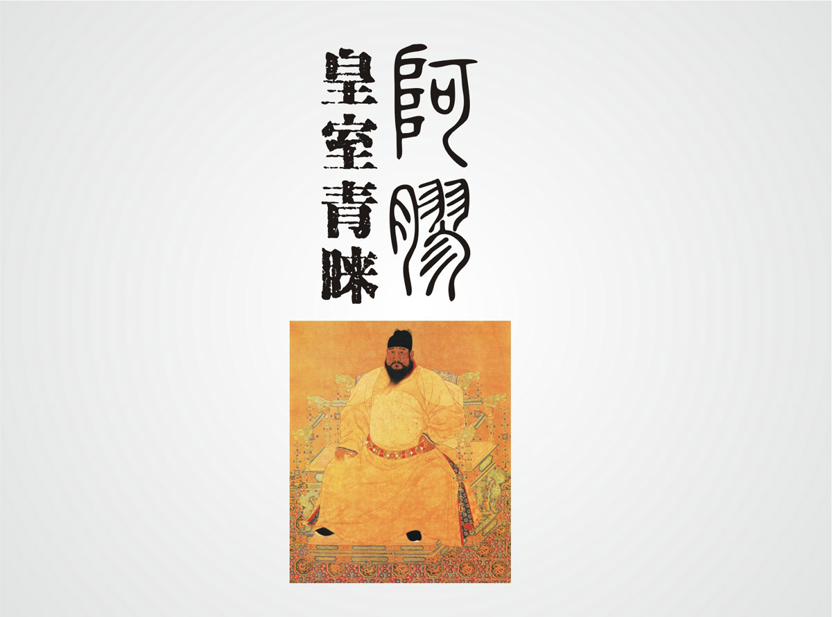 神农药业阿胶珠包装设计