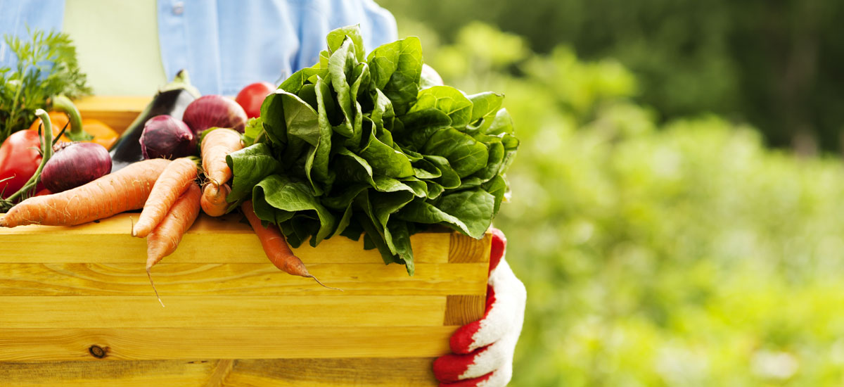 1492999476870963.jpg 444.jpg