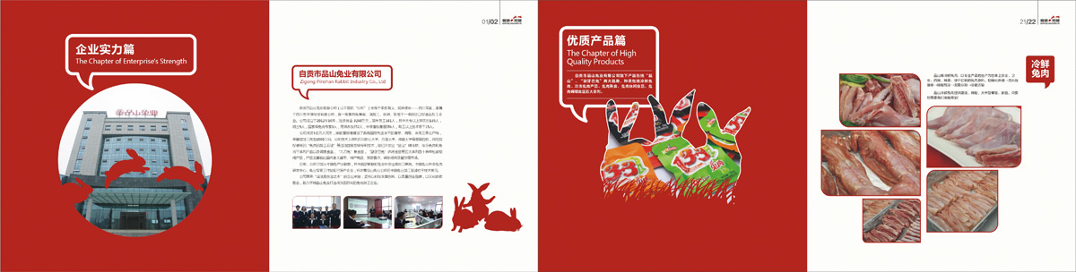 乐山画册设计公司.jpg
