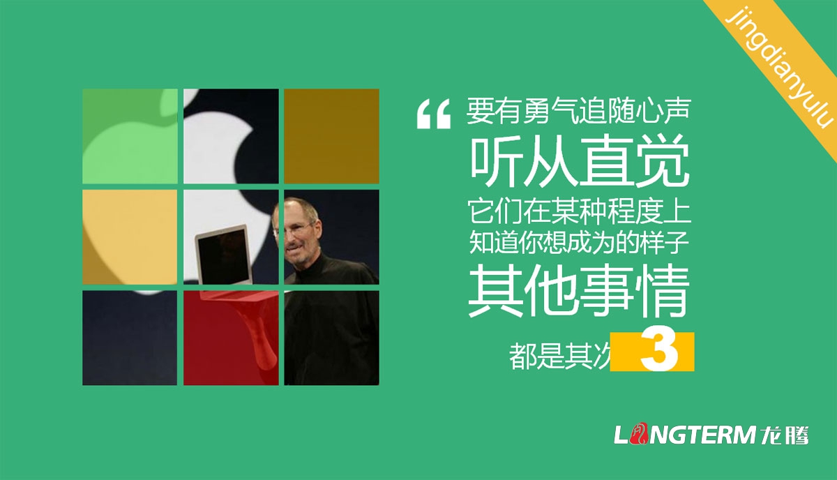 成都ppt设计制作公司|优秀简单简洁大气高端原创创意幻灯片设计制作|公司介绍PPT招商宣传发布汇报