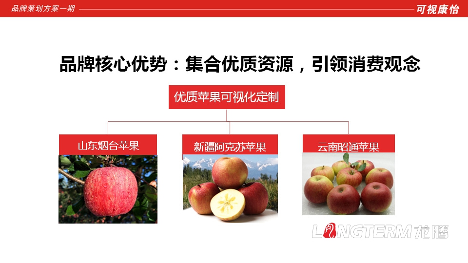 好苹壹佰（好苹100）品牌全案策划|四川成都水果苹果品牌全案营销策划形象设计推广公司