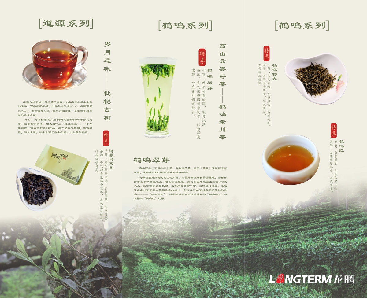 成都道源仙翁茶业有限公司产品宣传画册设计_大邑县茶叶折页广告物料设计公司