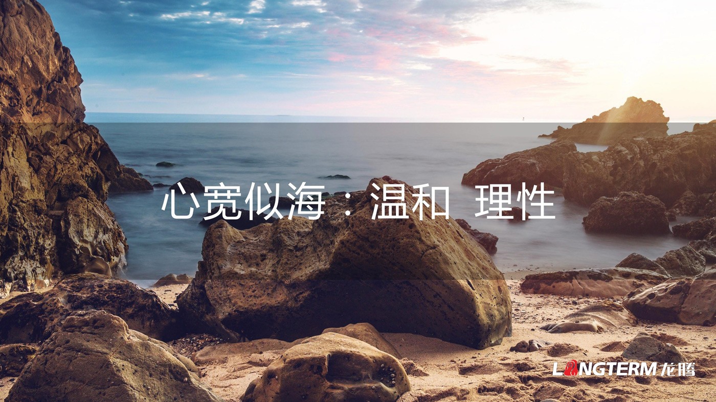 四川海岩声学科技有限公司LOGO设计