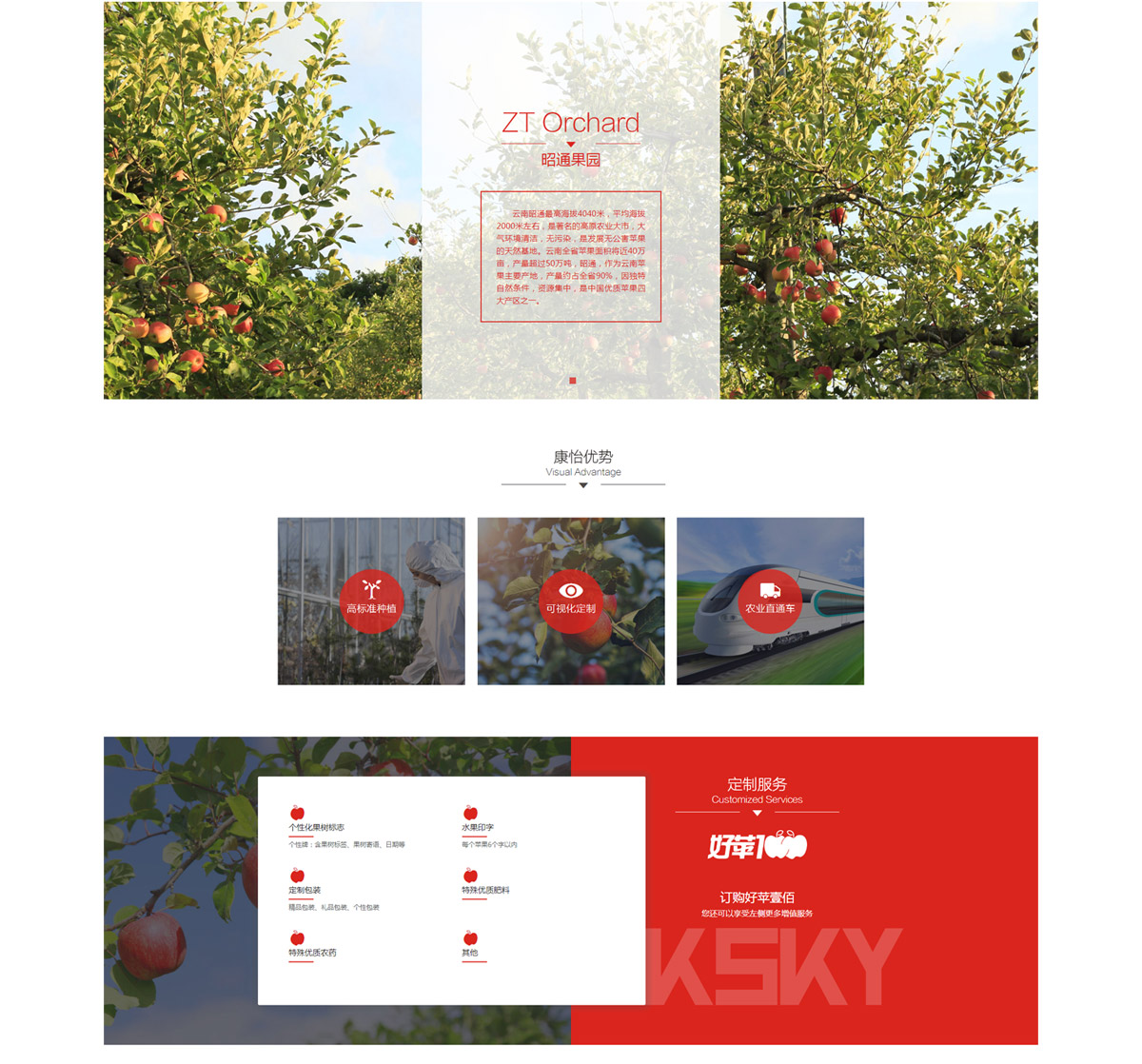 可视康怡农业科技公司官网设计|成都可视康怡农业科技有限公司网站建设|农业公司品牌形象微官网开发